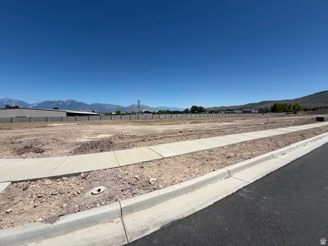 Expansive undeveloped lot featuring paved road frontage, concrete curb and gutter, and sidewalks