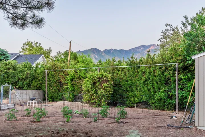 4539 S Willow Rd, Holladay, Utah 84117