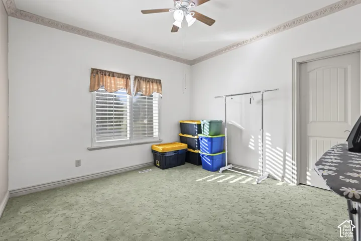 White interior walls with a decorative border, ceiling fan, carpet flooring, and a paneled interior door