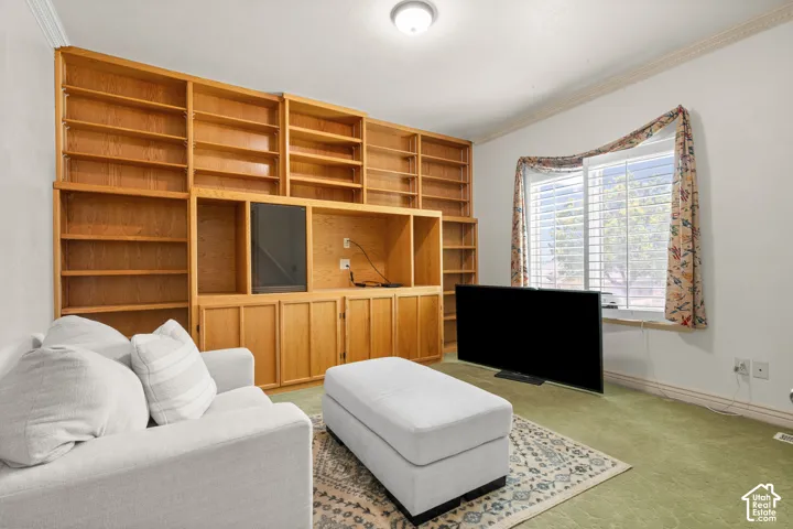 Built-in shelving unit with media console,  crown molding, window with horizontal blinds