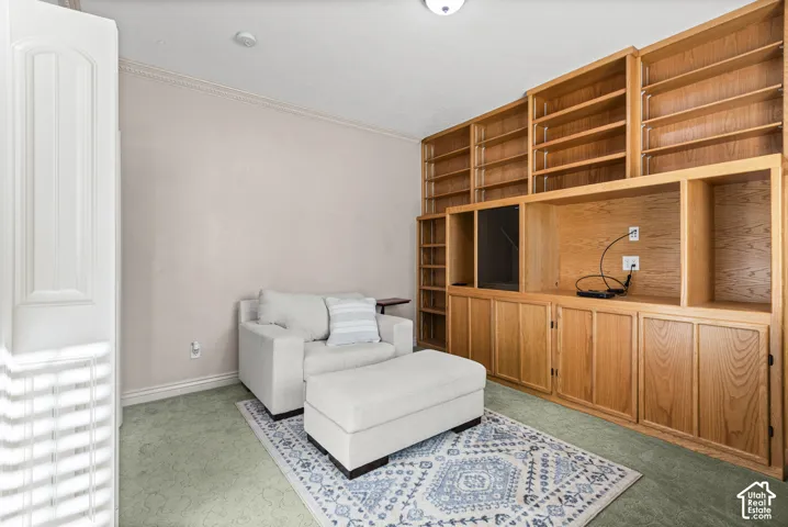Built-in wood shelving and cabinetry with media storage