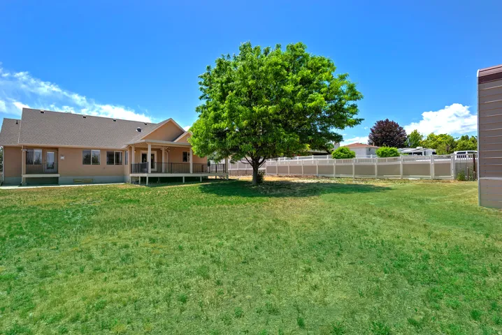 Expansive grassy backyard featuring a mature shade tree, full privacy fencing, and a covered back patio with railing