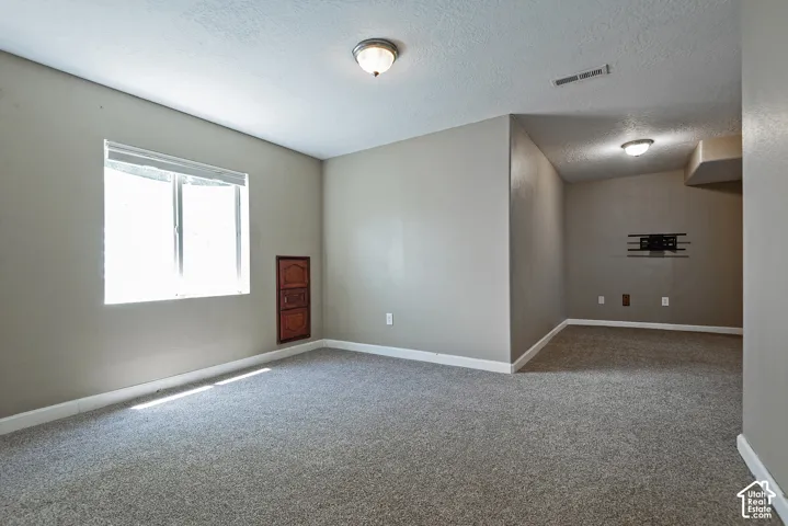 Carpeted bonus room featuring a window, ceiling-mounted lighting, a built-in wooden cabinet, and a wall-mounted bracket