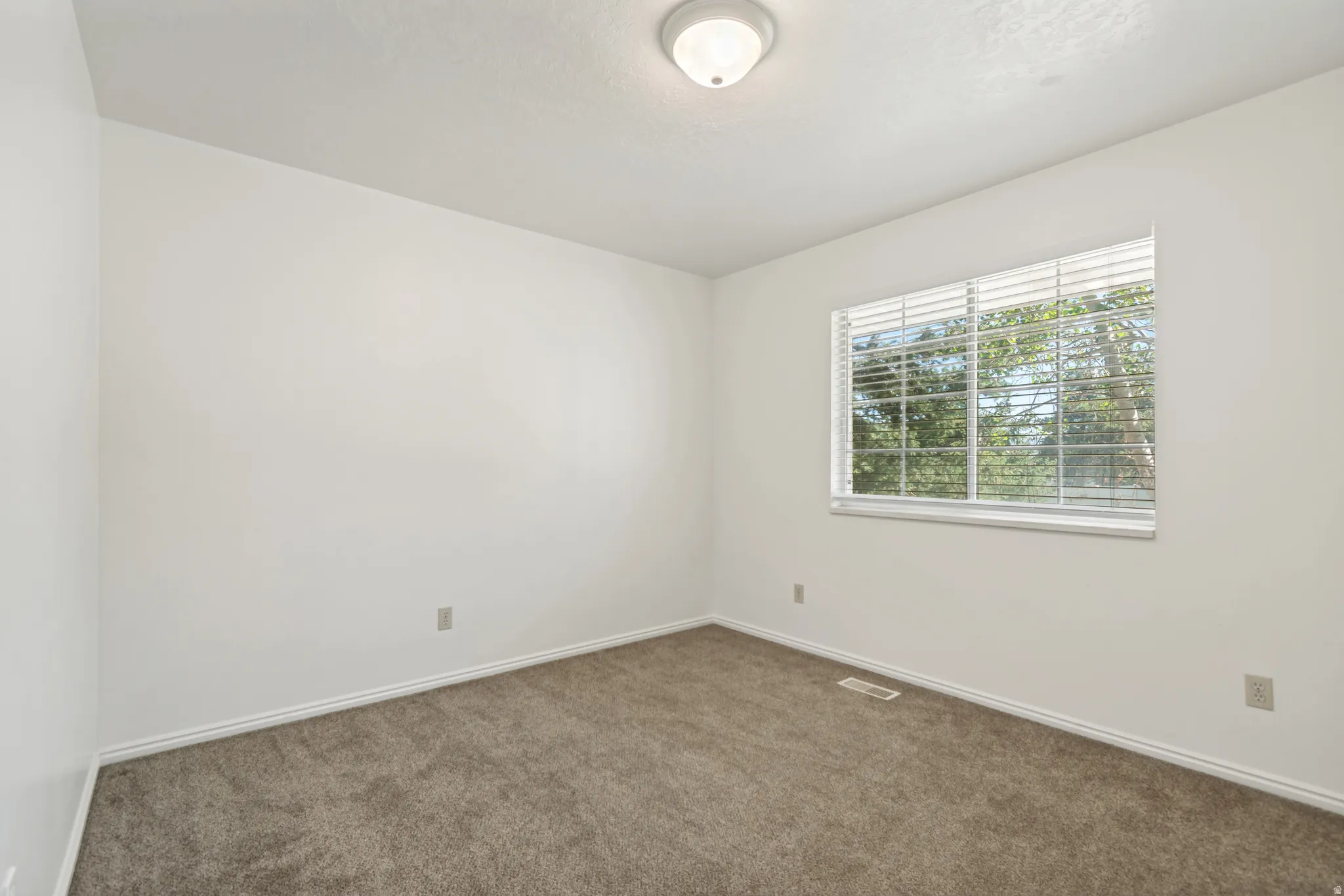 Neutral-toned wall-to-wall carpeting complements the white walls and trim