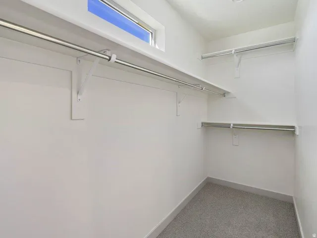 Walk-in closet with multiple hanging rods, integrated shelving, an upper transom window, recessed ceiling lighting, and carpeted flooring