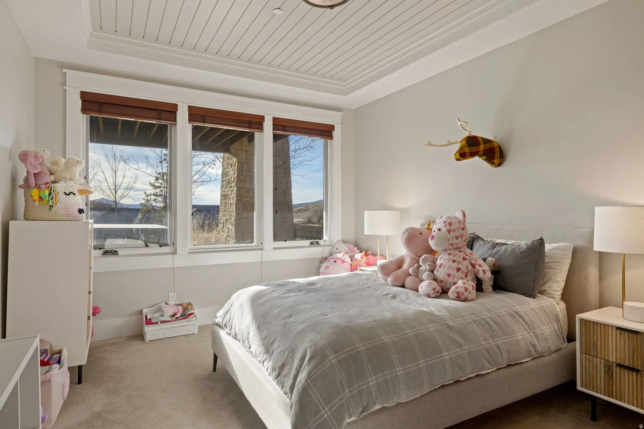 Tray ceiling with white shiplap, three large windows, light neutral wall paint, and beige carpeting