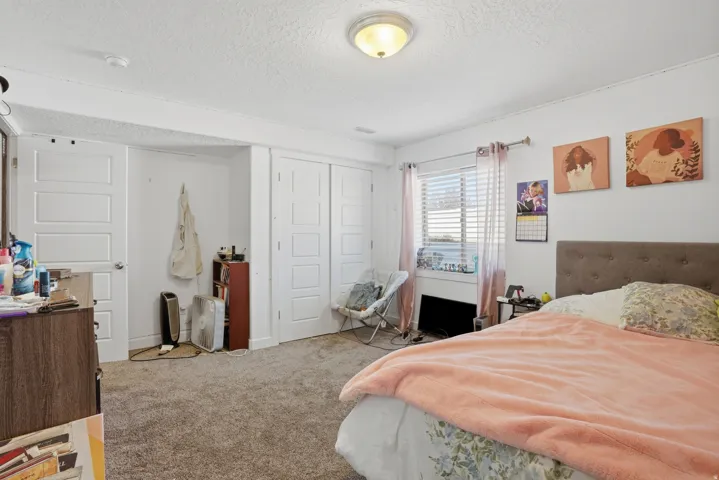 Carpeted room with white walls, featuring a window with blinds and sheer curtains, a flush-mount ceiling light fixture, and two white paneled doors