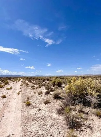 Expansive desert terrain featuring a visible dirt path and distant mountains