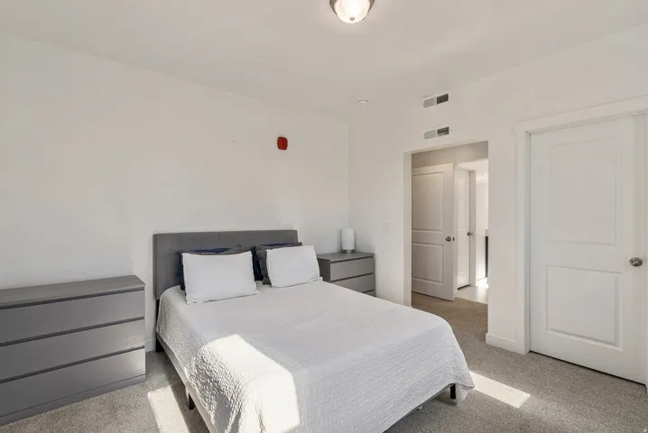 Bedroom featuring light gray carpet flooring, white painted walls, a flush-mount ceiling light fixture, and two panel doors with chrome hardware