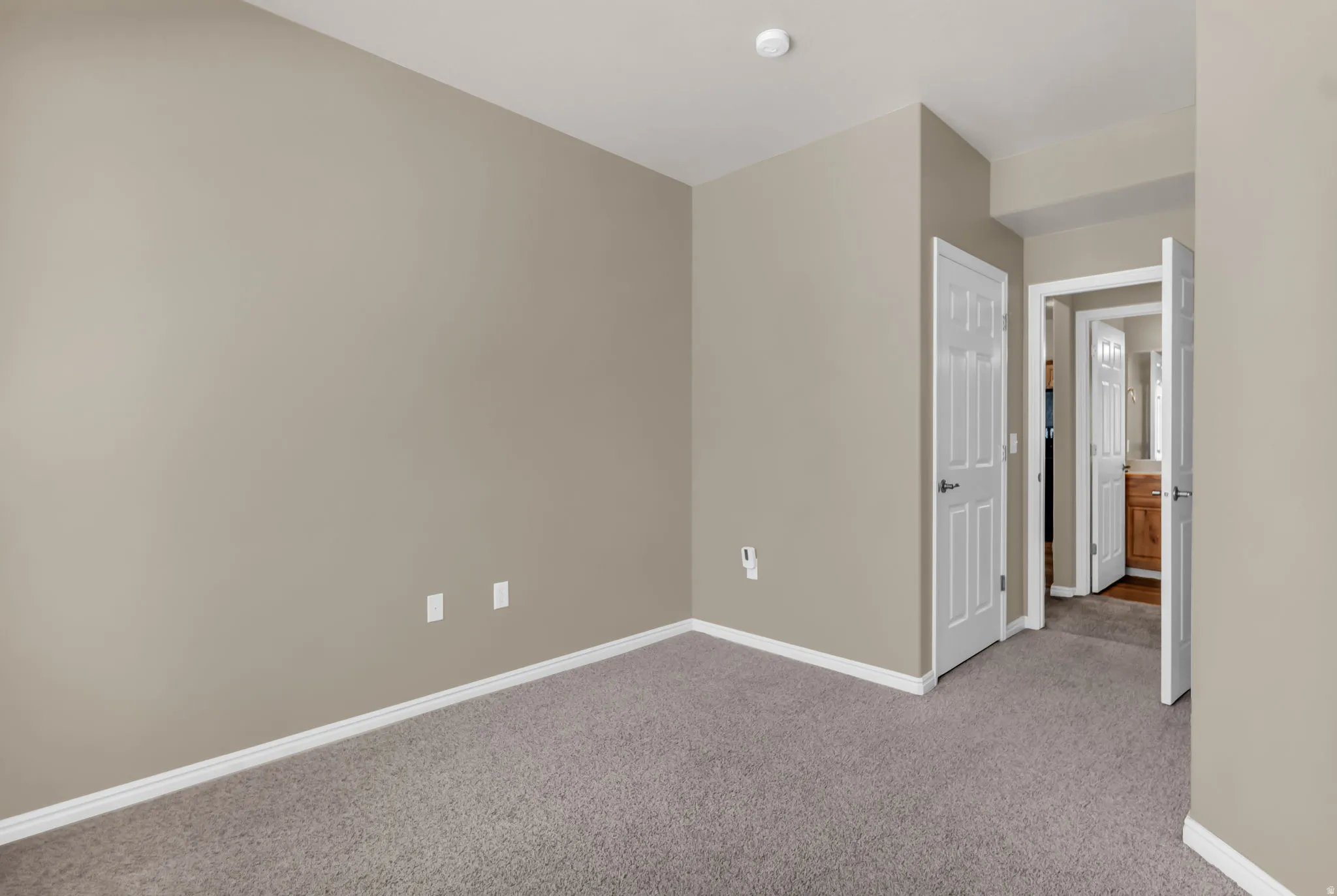 Carpeted interior room with neutral-toned walls, white trim, white paneled doors, and a walk-in closet.