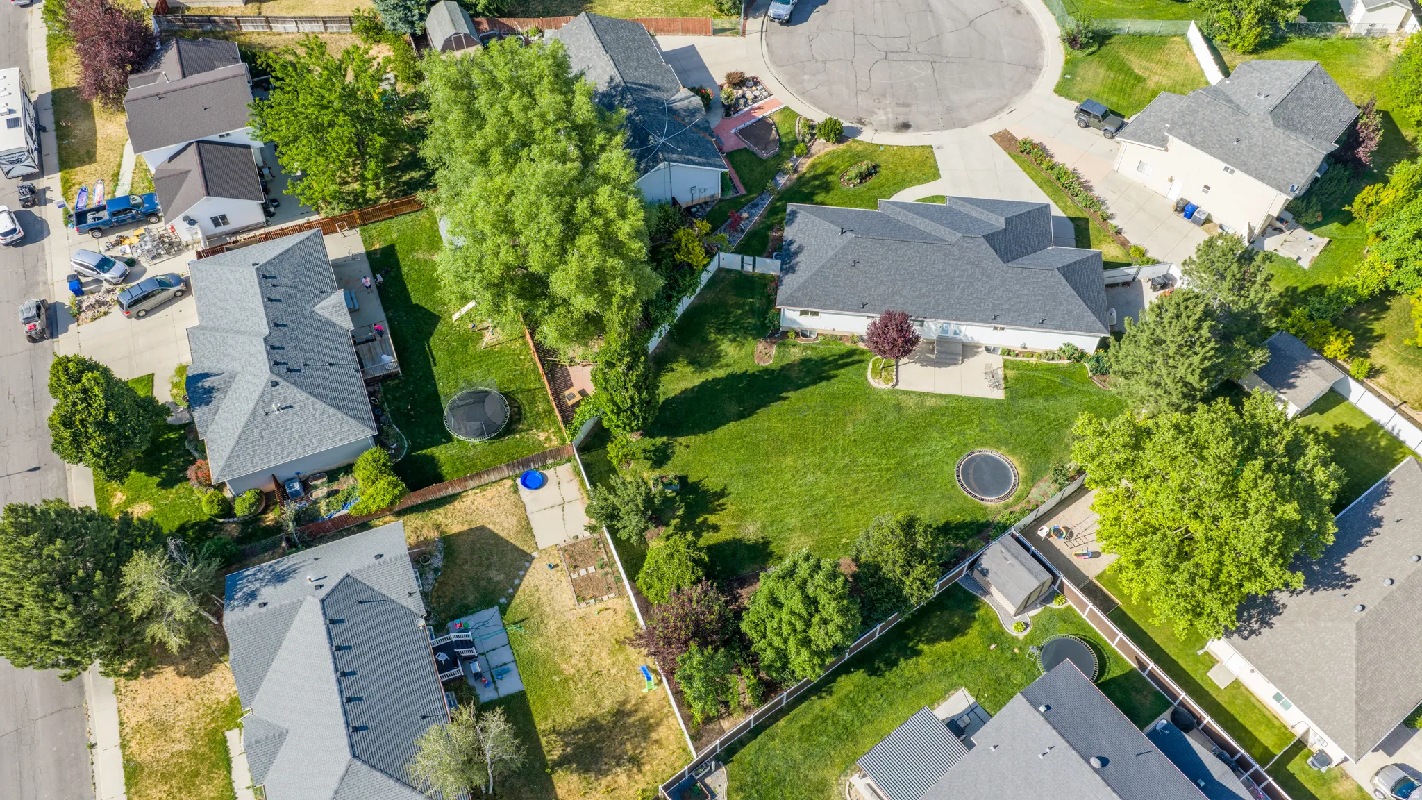 Expansive backyard featuring a manicured lawn, mature trees, and a concrete patio