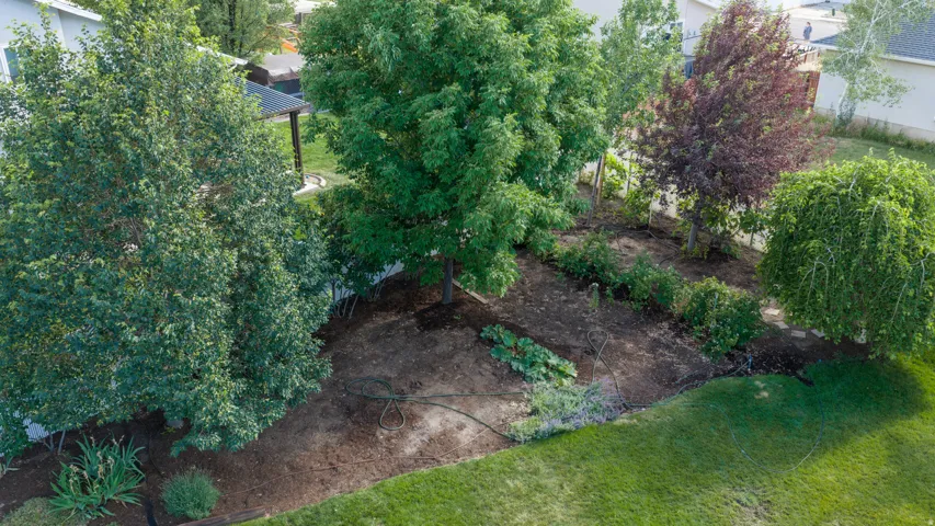 Expansive backyard featuring a lush lawn, established garden beds, mature trees providing natural shade, and a visible irrigation system