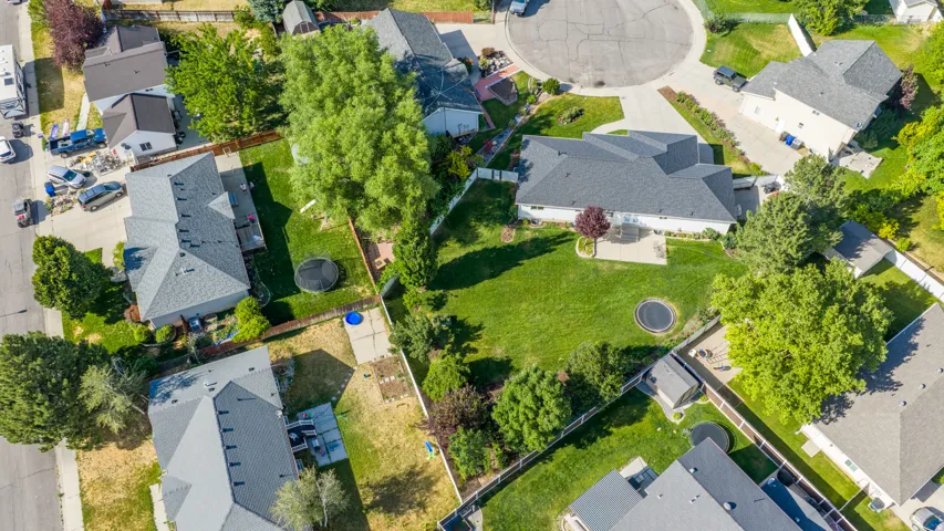 Expansive backyard featuring a manicured lawn, mature trees, and a concrete patio