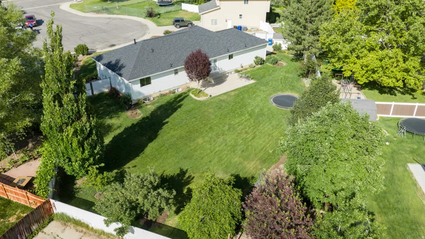 Expansive rear yard featuring a manicured lawn, established landscaping, and a concrete patio