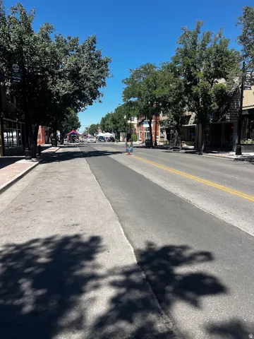 Streetscape featuring established trees, sidewalks, and commercial buildings