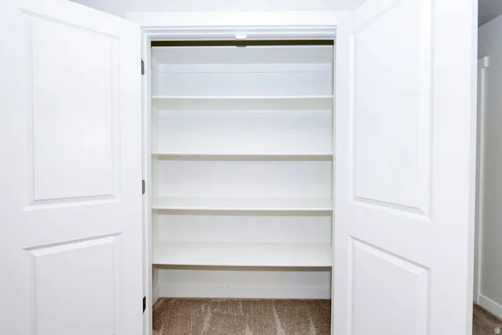 Built-in closet with five fixed shelves, white panel doors, and carpet flooring