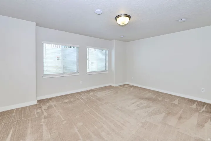 Spacious room featuring neutral carpeting, two windows with horizontal blinds, recessed lighting, a ceiling-mounted light fixture, and white baseboards