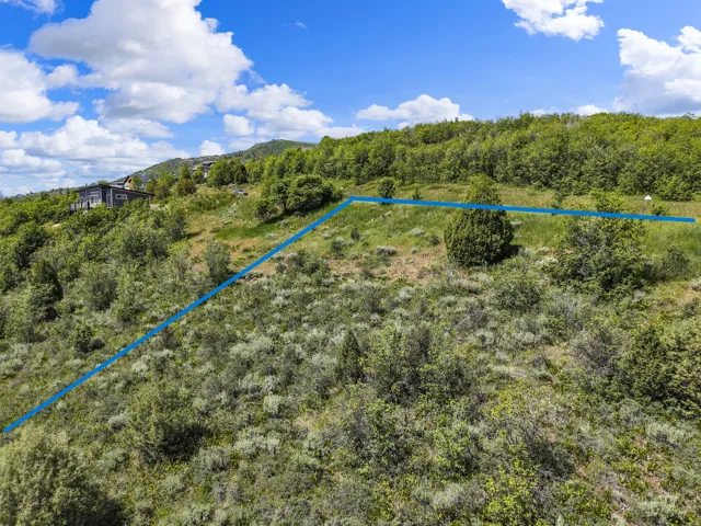 Expansive sloped property featuring varied natural vegetation and scattered trees, against a backdrop of a distant modern residence on a hillside
