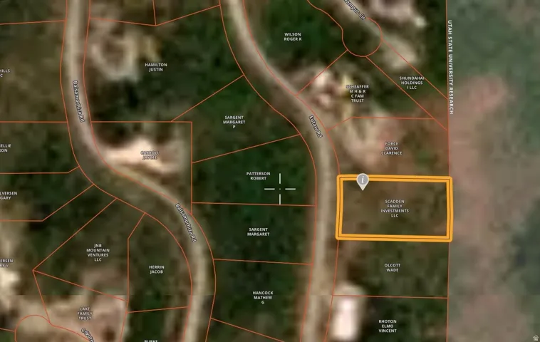 Property Ownership Map. Displaying land parcels and associated owner details for the property