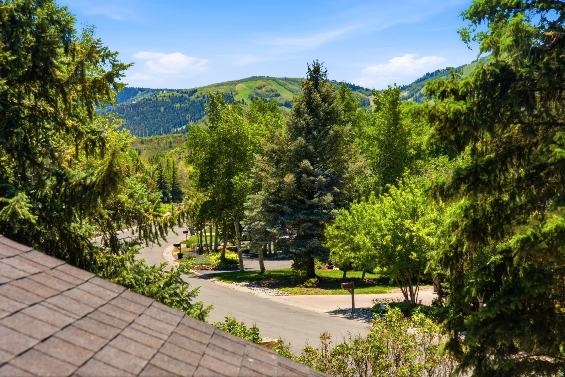 Brown composite shingle roof with a backdrop of a mountainous landscape