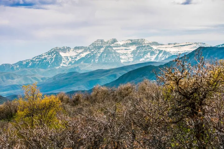Expansive mountain scenery featuring snow-capped peaks, layered foothills, and diverse foreground vegetation with both dormant and budding trees