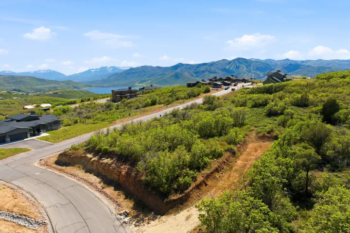 Expansive undeveloped land parcel featuring existing paved roads, substantial natural greenery, and a mountain landscape with a visible body of water