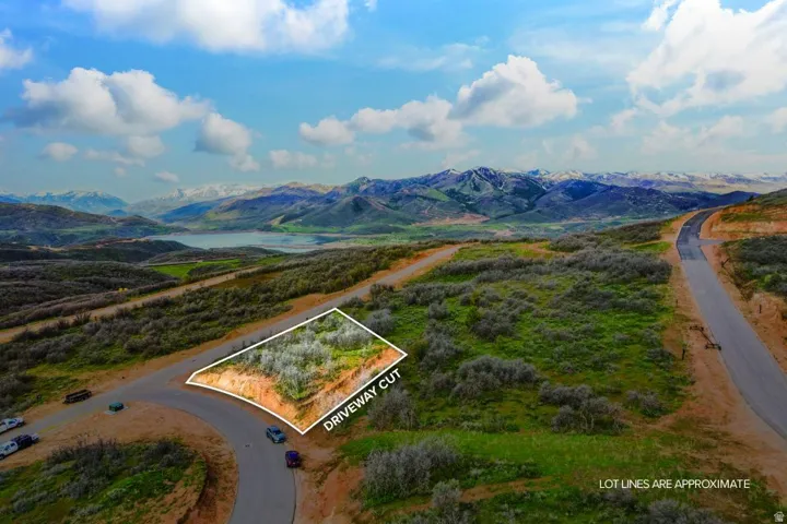 Elevated lot featuring a driveway cut, surrounded by natural vegetation