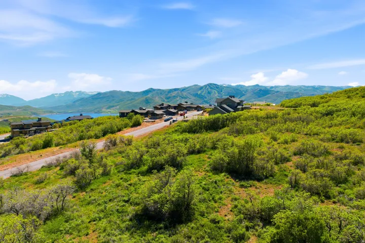 Expansive hillside property featuring established homes, a paved road, and verdant natural landscaping