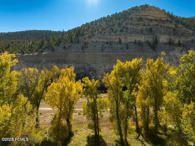 Mountainous landscape with golden-leafed deciduous trees