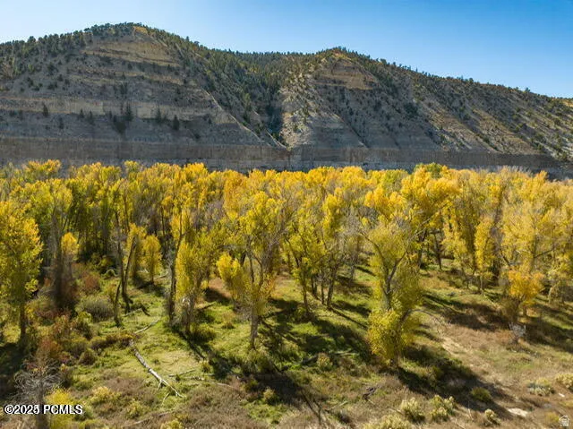 Expansive natural landscape featuring a dense forest of vibrant yellow-leafed trees, rolling hills with varied topography, and clear blue skies