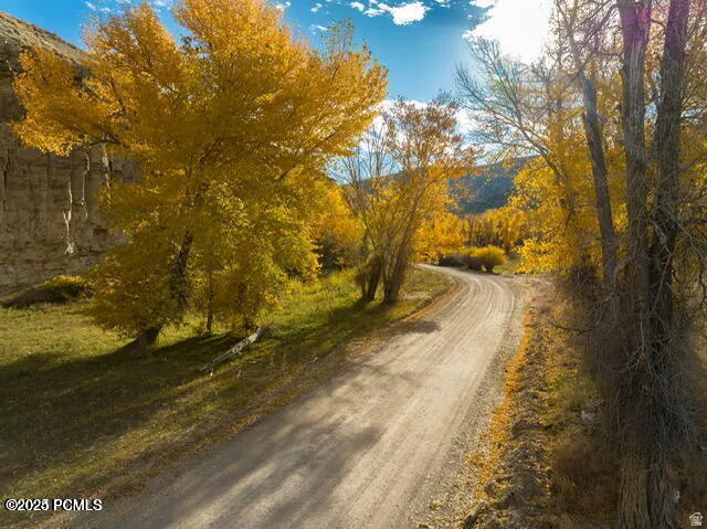 Winding dirt road framed by vibrant yellow-leafed deciduous trees