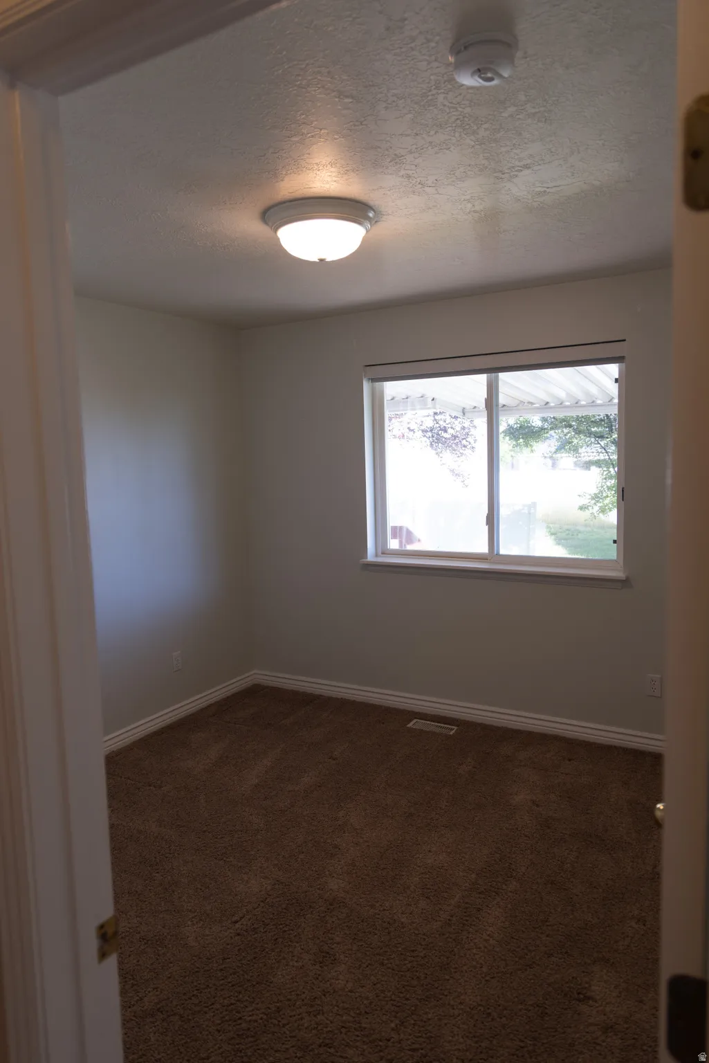 Carpeted interior room featuring a window with exterior views, white trim, and an overhead light fixture