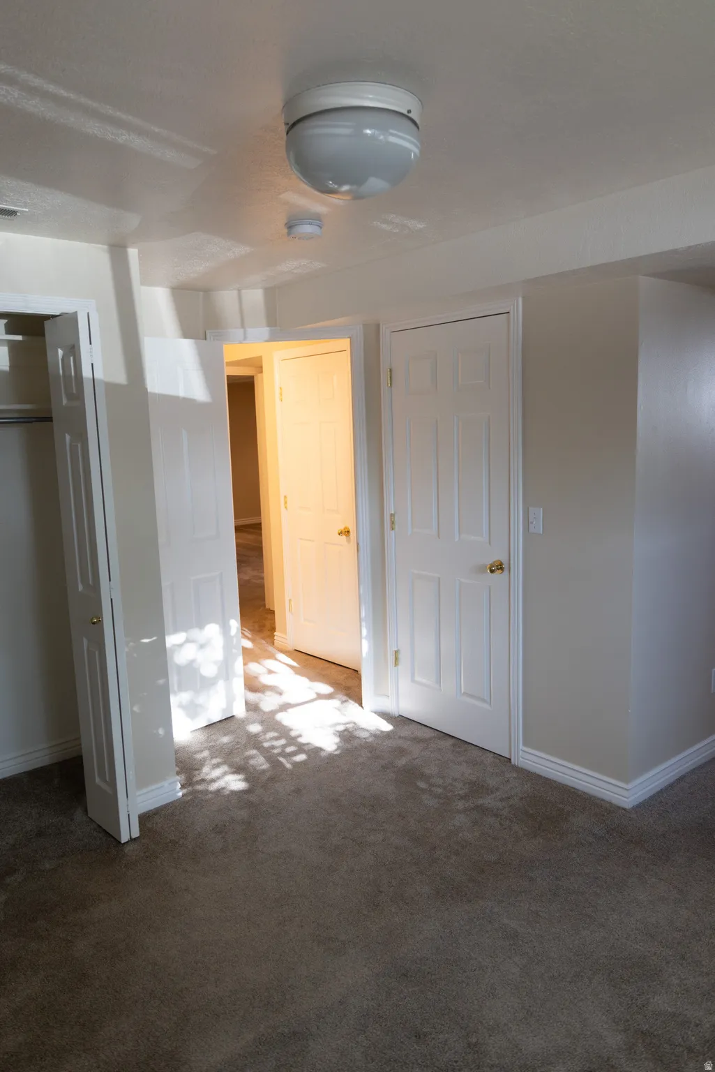 Carpeted room with a ceiling-mounted light fixture, white trim, and multiple white panel doors