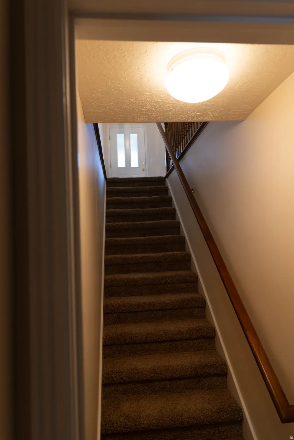 Carpeted staircase featuring a wood handrail and balusters, leading to a white door with frosted glass inserts