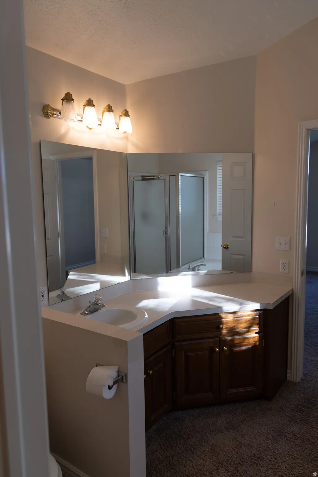 Bathroom vanity featuring a single-bowl sink, chrome faucet, and a large wall-mounted mirror