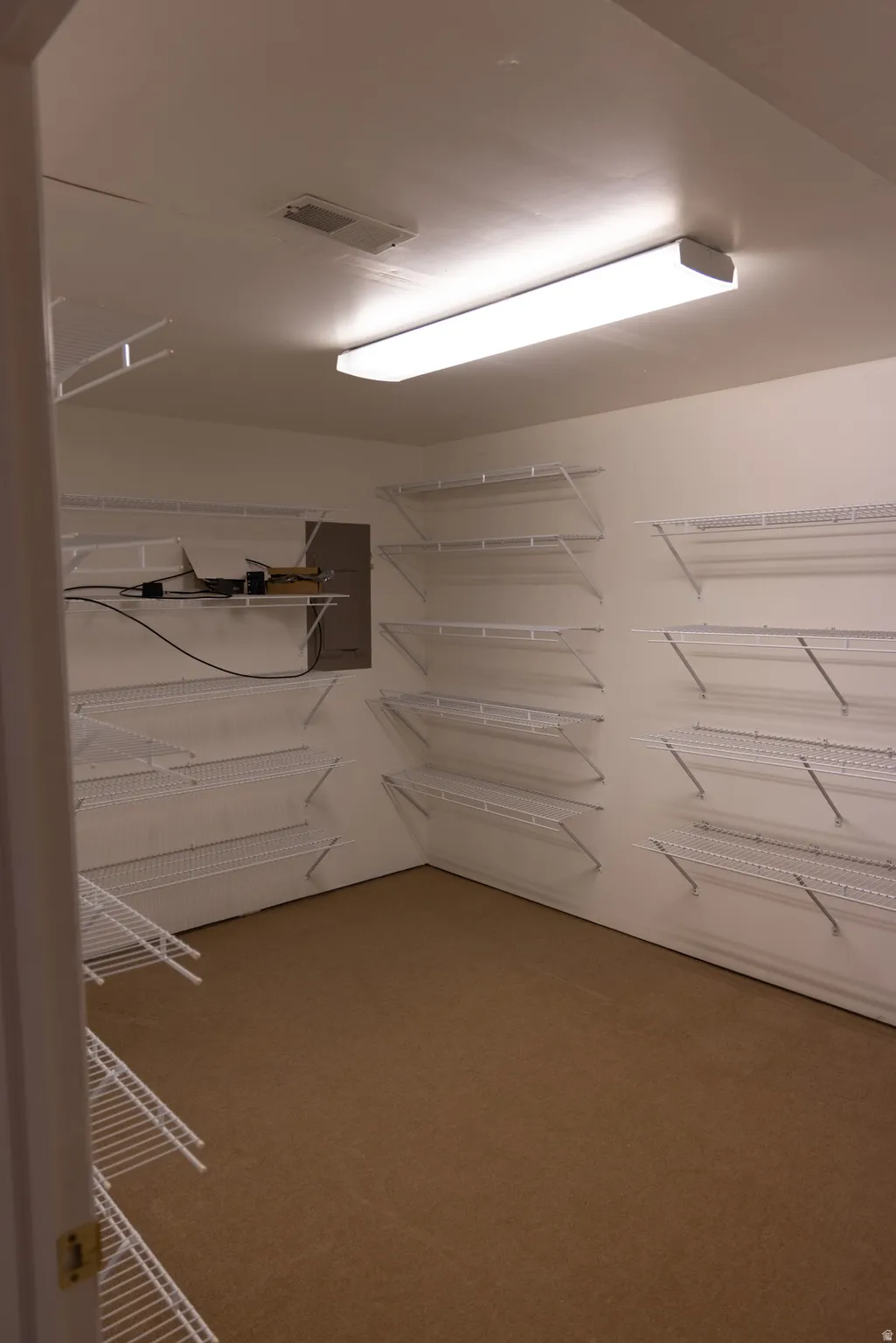 Spacious room featuring extensive wire shelving, a rectangular flush-mount ceiling light, white painted walls, and brown carpeting