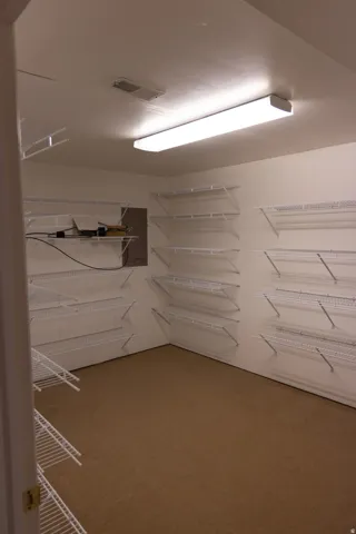 Spacious room featuring extensive wire shelving, a rectangular flush-mount ceiling light, white painted walls, and brown carpeting