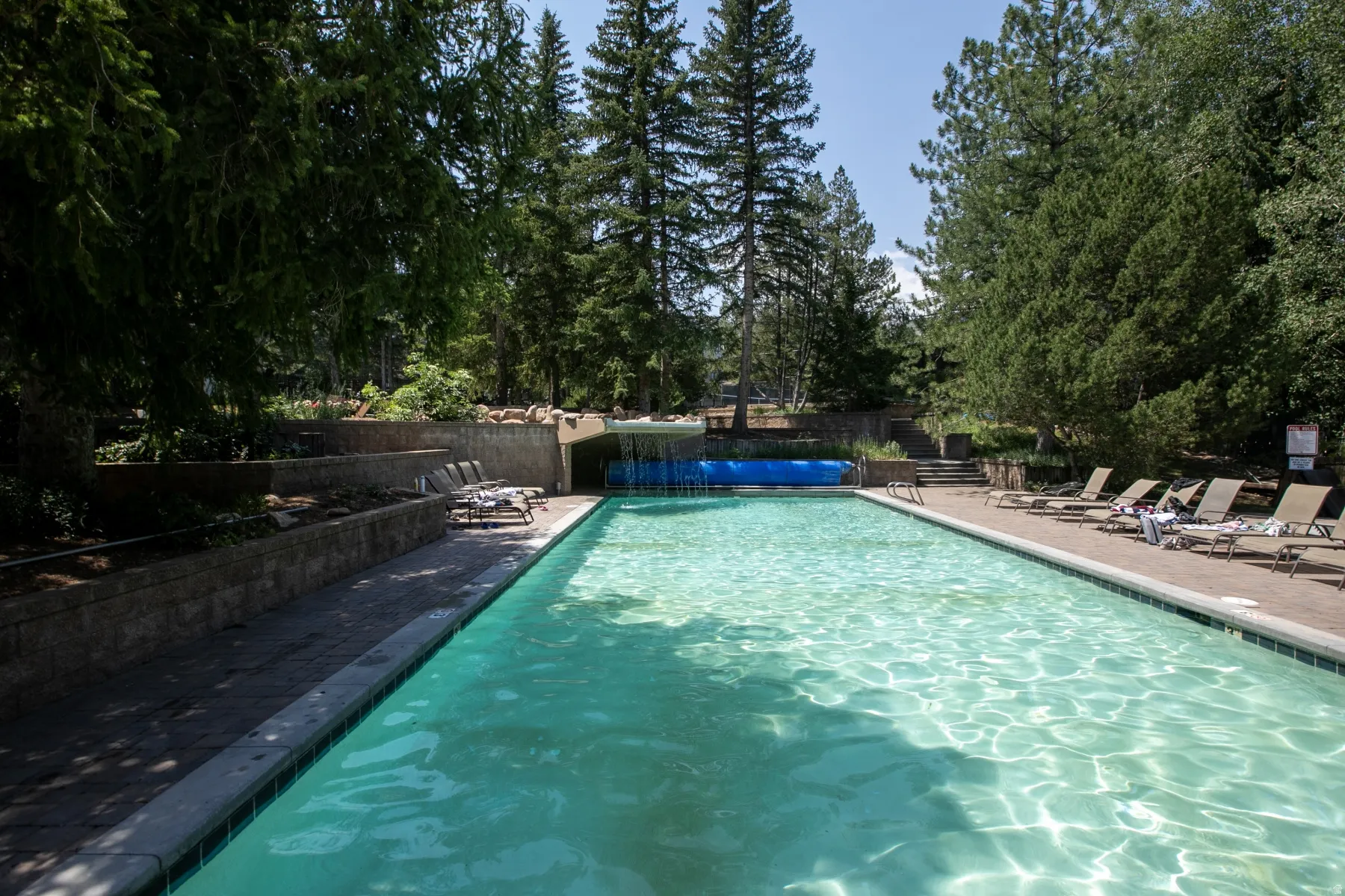 Outdoor swimming pool with integrated steps, surrounded by a paved deck area, tiered stone retaining walls, and mature evergreen trees