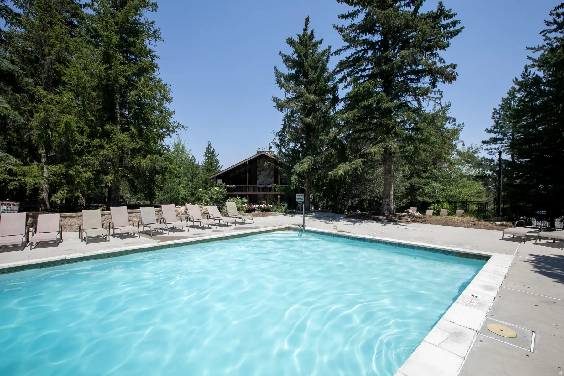 Rectangular outdoor swimming pool with concrete decking, surrounded by mature evergreen trees