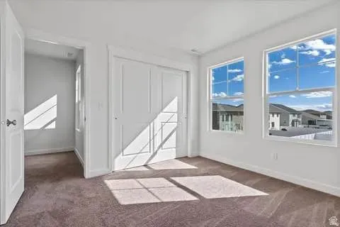 Carpeted room featuring two large windows, white walls, and white trim