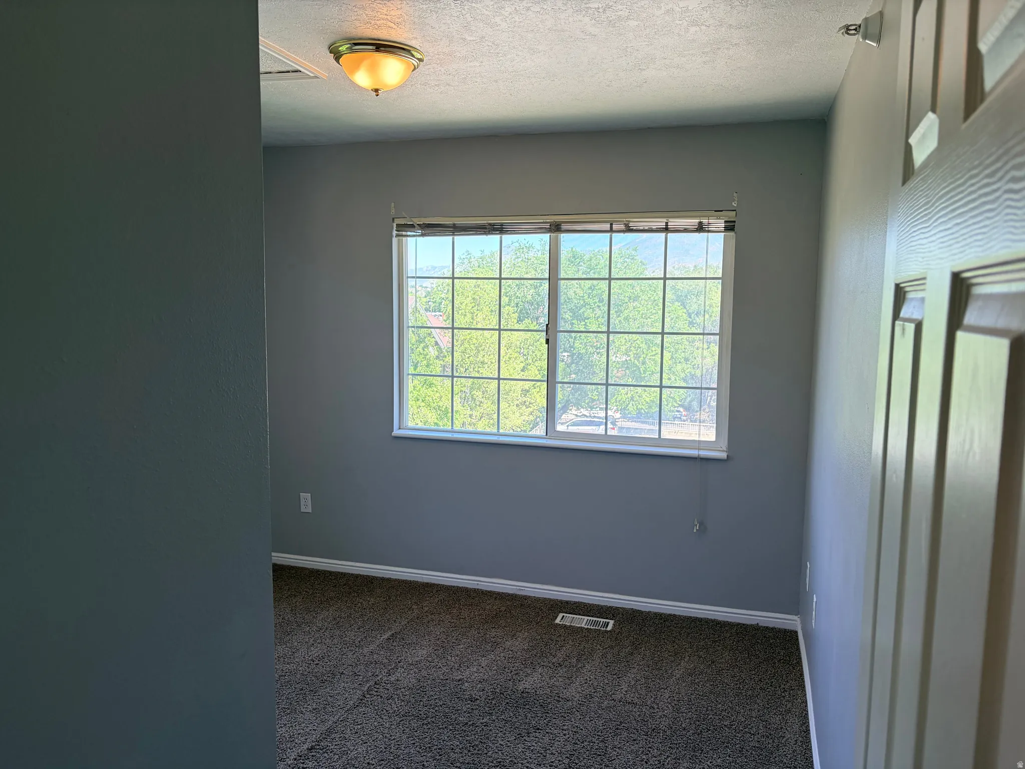 Carpeted room featuring a double-paned window with white framing and a privacy screen, a flush mount ceiling light fixture, baseboard trim, and light gray wall paint