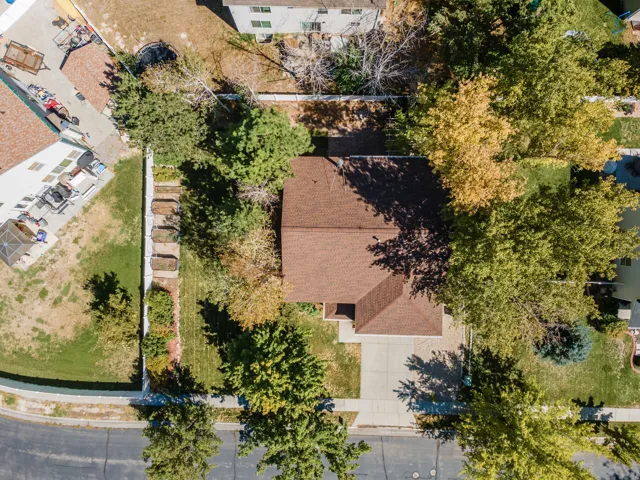 Pitched shingle roof, mature landscaping, paved driveway, and established sidewalks