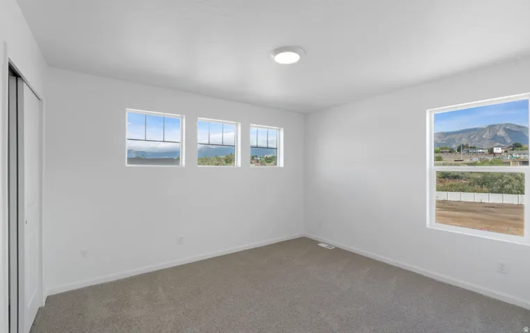 Neutral wall paint, carpet flooring, a flush-mount ceiling light fixture, and multiple windows
