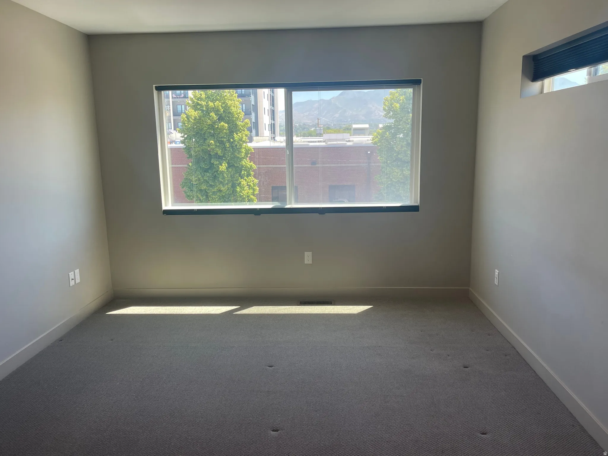 East facing primary bedroom Room featuring a large window, a transom window, wall-to-wall carpeting, and neutral wall tones