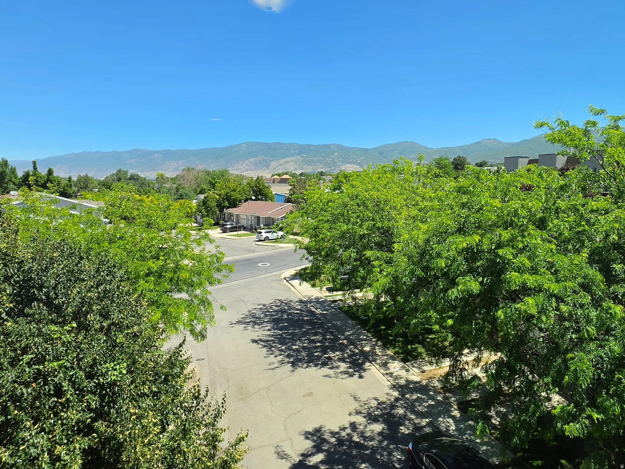 Expansive mountain backdrop with a residential street below, framed by lush mature trees