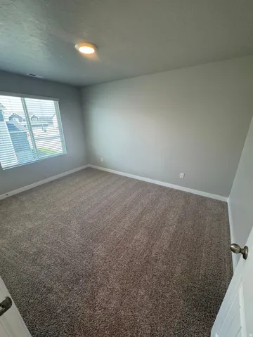 Carpeted room featuring a large window with blinds, light gray walls, white trim, and a flush-mount ceiling light