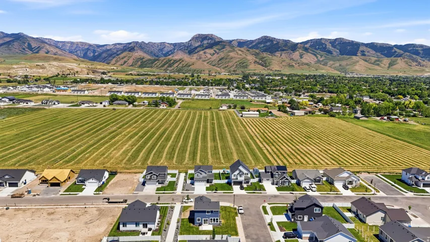Expansive residential community featuring a variety of single-family homes, mature landscaping, and surrounding agricultural fields