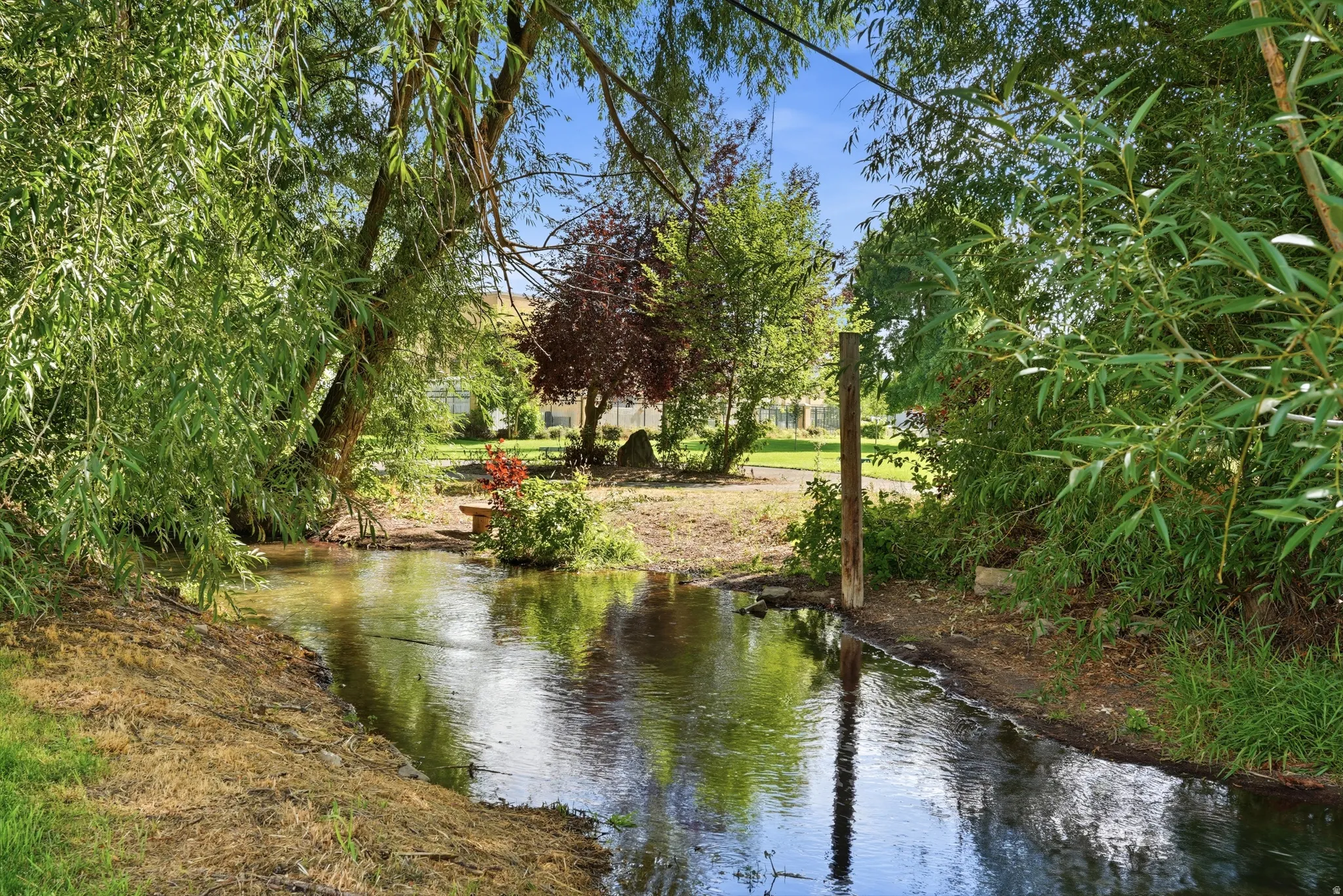 Lush landscaping with a natural water feature, mature trees, and a stone bench