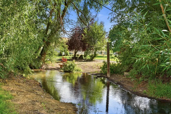 Lush landscaping with a natural water feature, mature trees, and a stone bench