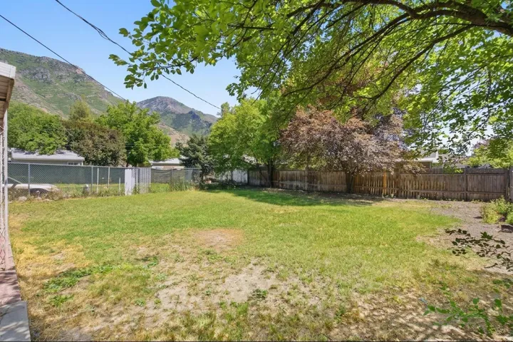 Expansive backyard featuring a grass lawn, mature trees, wood fencing, and chain-link fencing
